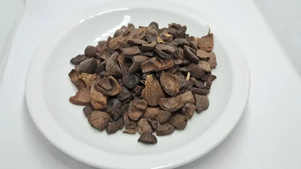 Cangkang Kelapa Sawit ( Palm Kernel Shell ) Eceran