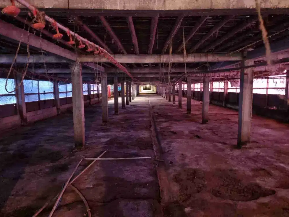 Dijual bekas kandang ayam potong di nogosari boyolali