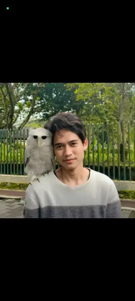 Supir pribadi dan PA