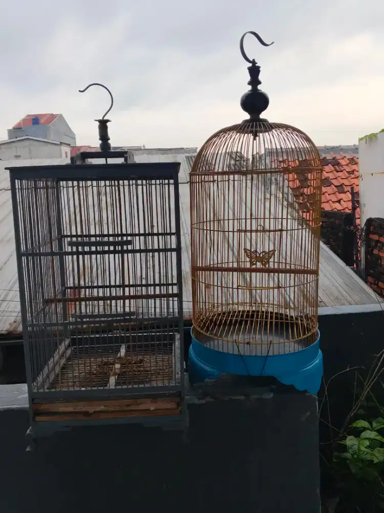 Jual kandang burung