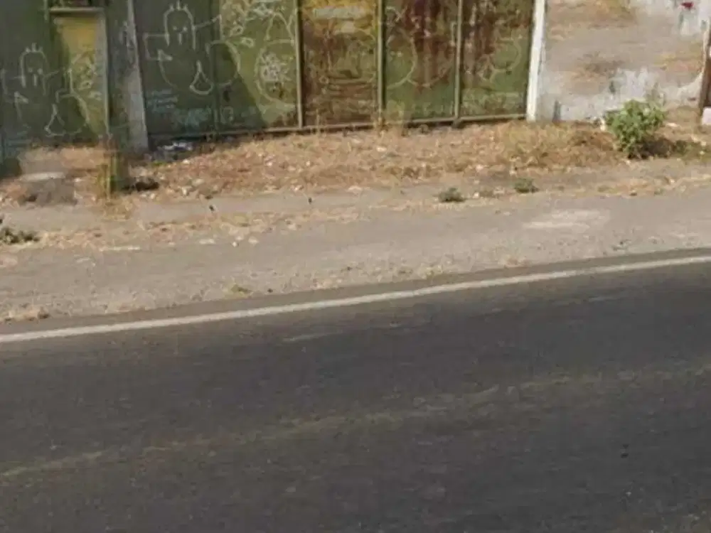 Tanah dan Bangunan Raya Bagusan, Kel. Terusan, Kec. Gedeg, MOJOKERTO