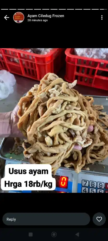 Tukang potong ayam dan kurir ayam
