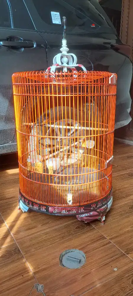 Sangkar kandang murai oriq pvc no 2 mulus