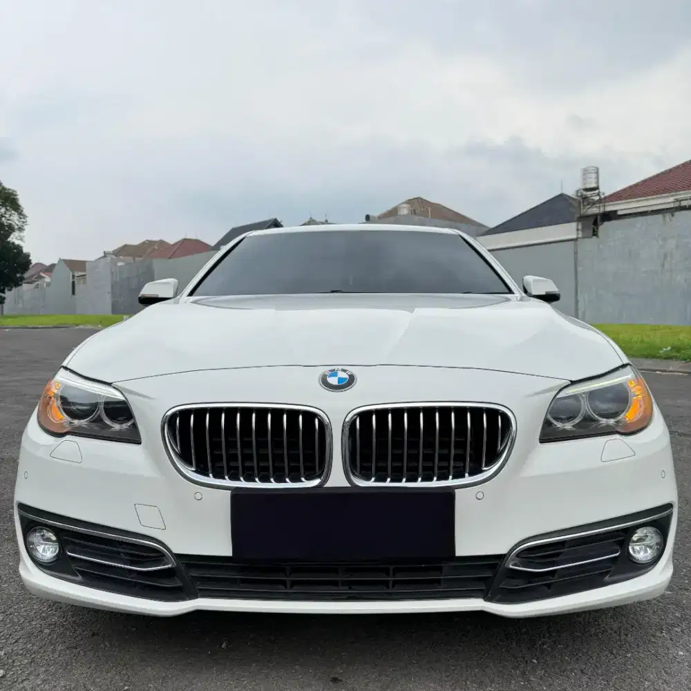 BMW 520d Luxury