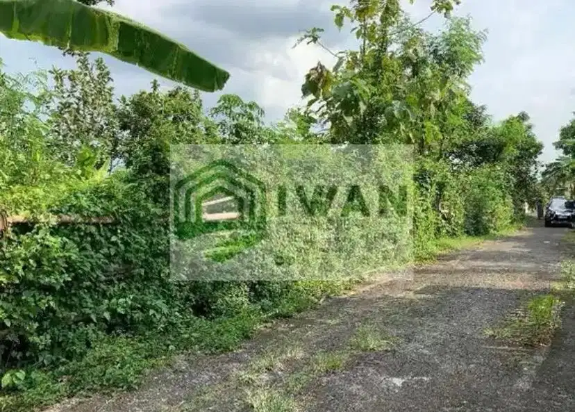 Tanah Pekarangan Bisa Perluasan Dengan View Sawah Dekat Jalan DPU