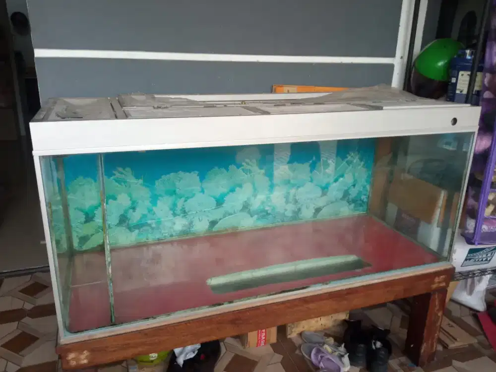 Jual Aquarium , akuarium
