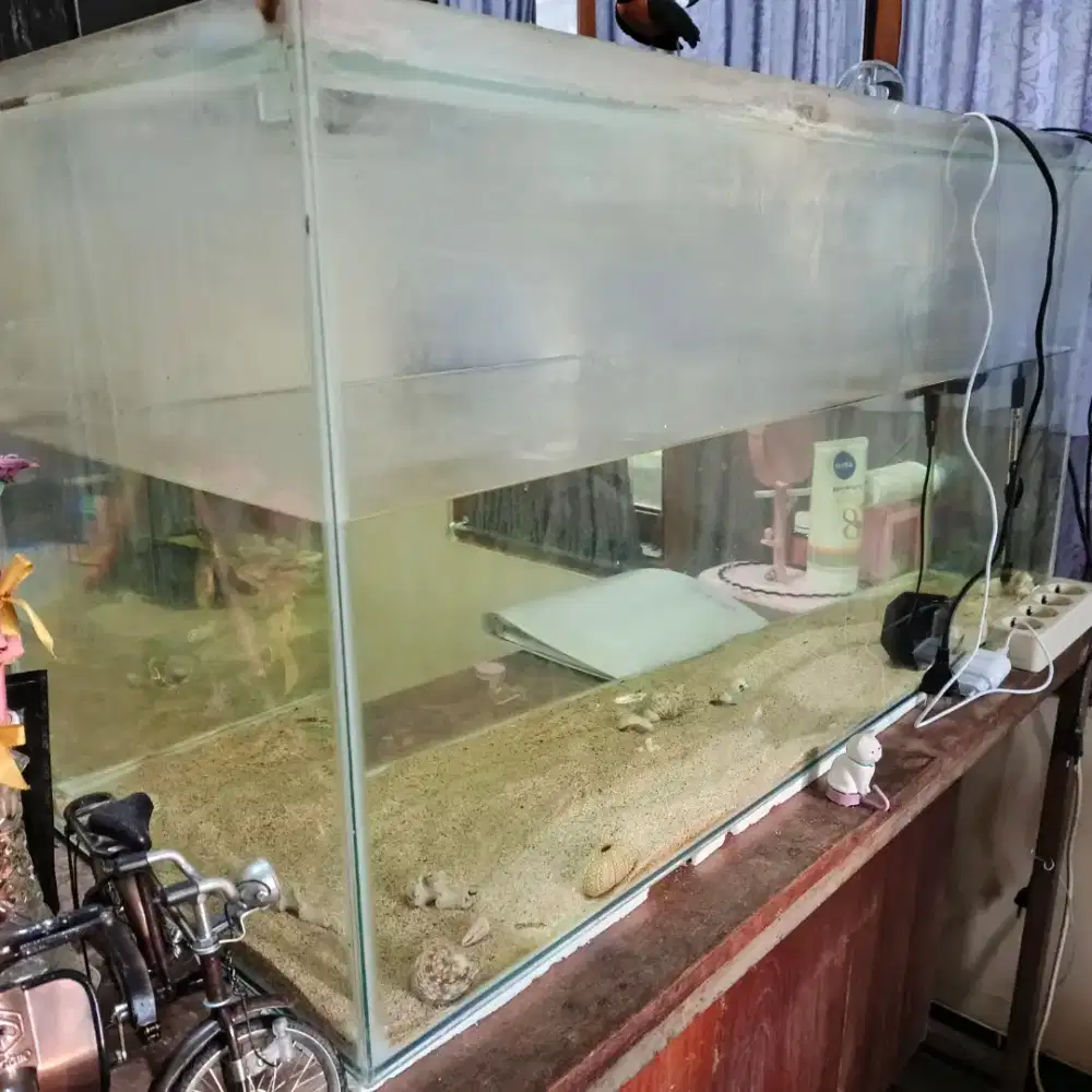 Aquarium besar bagus