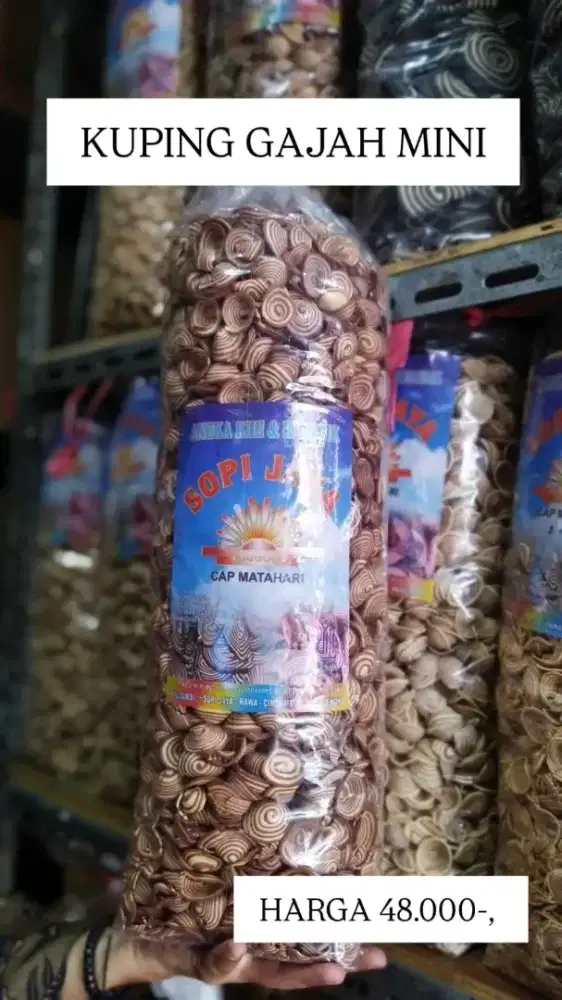 Kuping gajah kecil ball