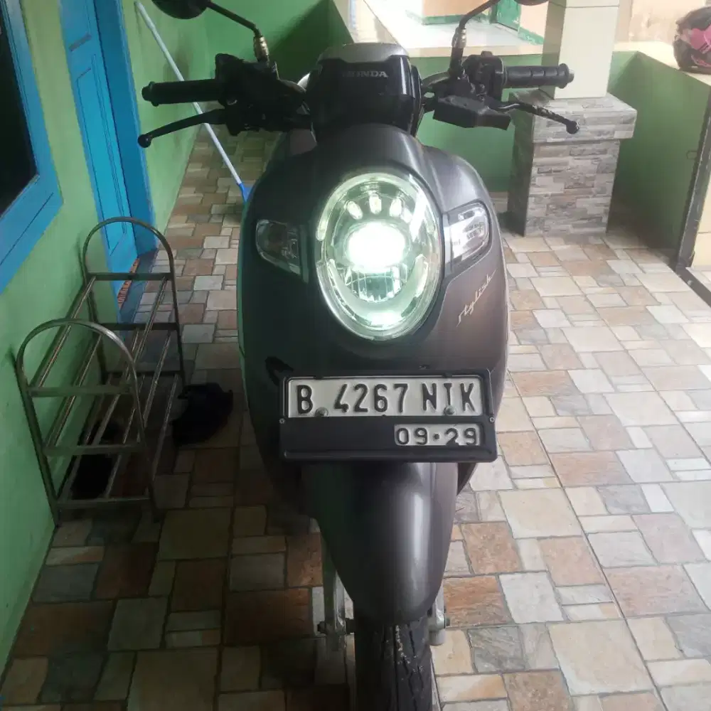 Jual Scoopy Donat 2019