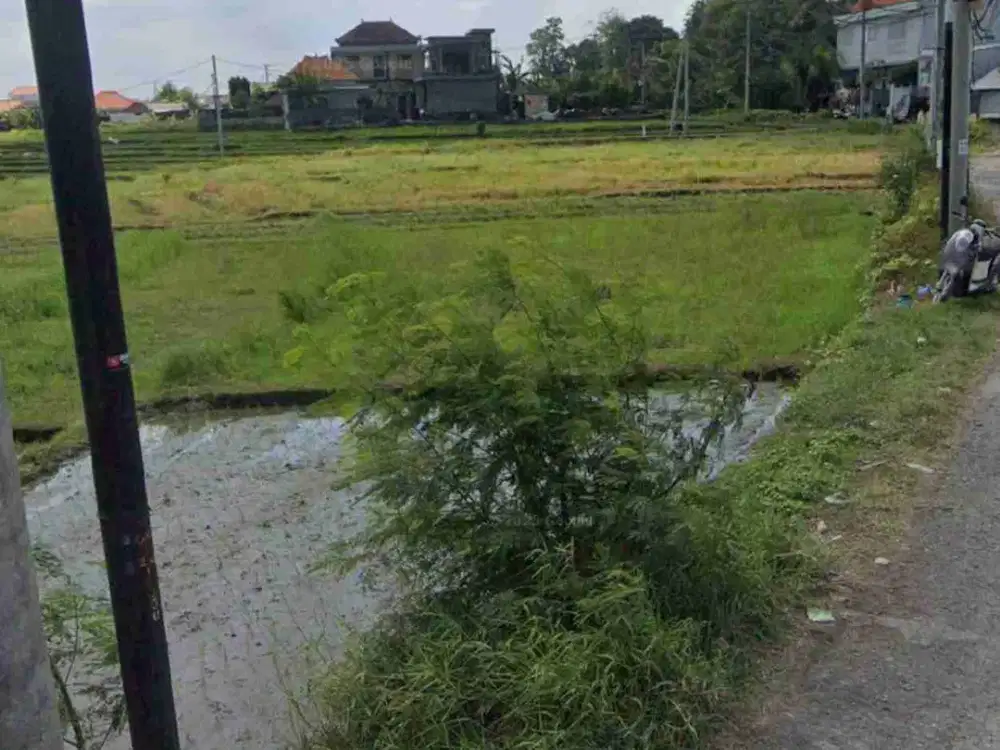 DIJUAL TANAH MURAH 13.5 ARE SHM DEKAT PANTAI SESEH CEMAGI GP