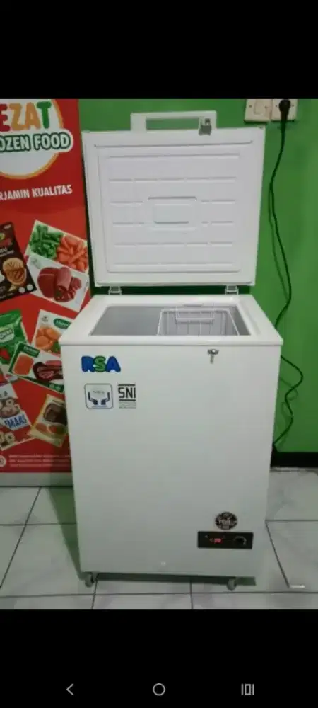 Freezer Box RSA 100 Liter Nego