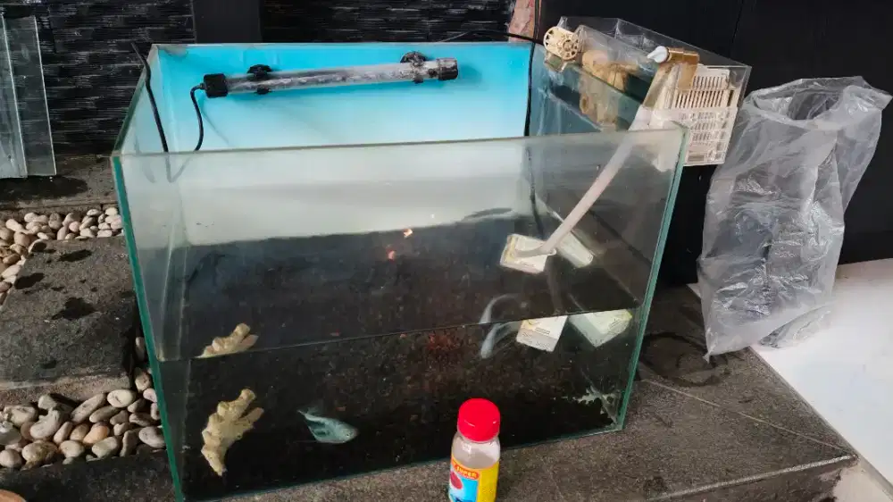 Gratis akuarium ada ikannya filter lampu