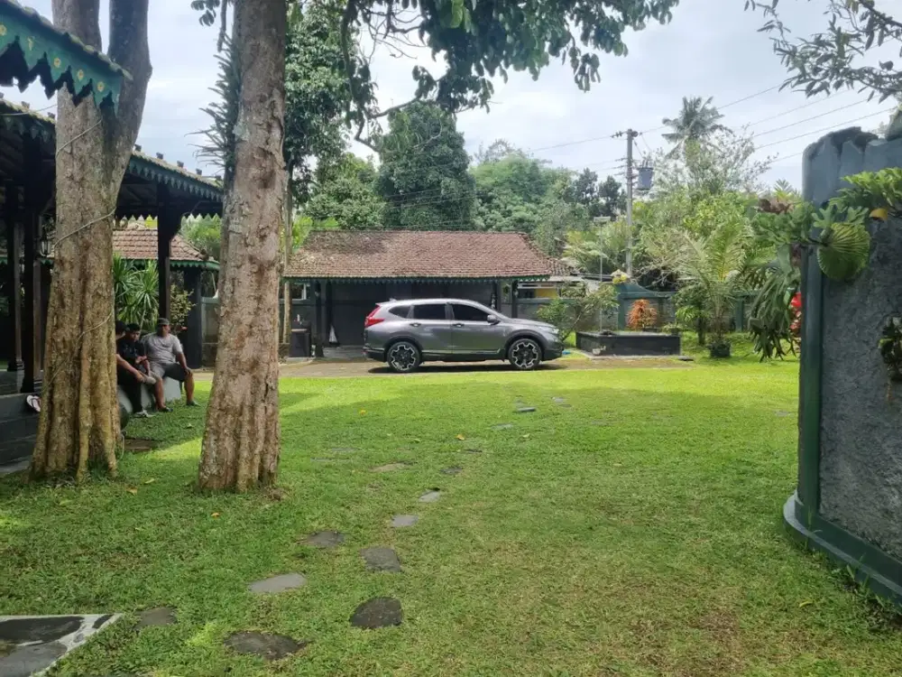 Villa Asri di Turi Sleman, Lingkungan Hijau & Sejuk