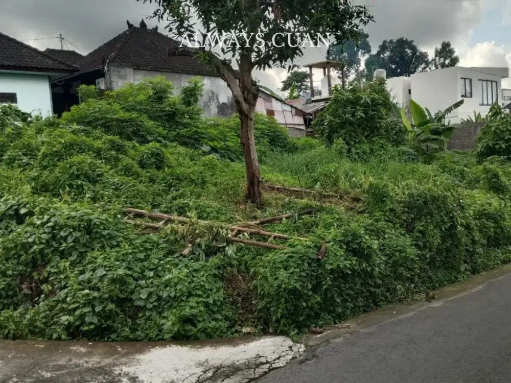 Tanah Luasan Kecil Dijual Lokasi Tumbak Bayuh