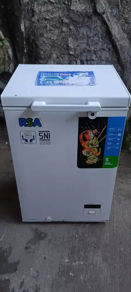 Frizer Box 100 liter RSA