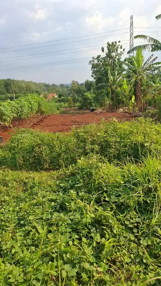 Dijual Cepat Karena BU