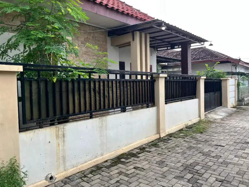 Rumah Tinggal Di Sewakan Area Situbondo Kota