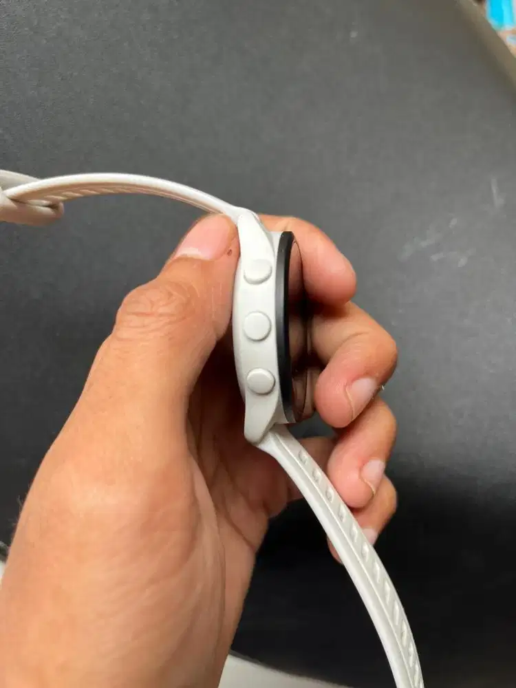 Jam garmin forurenner 165 music