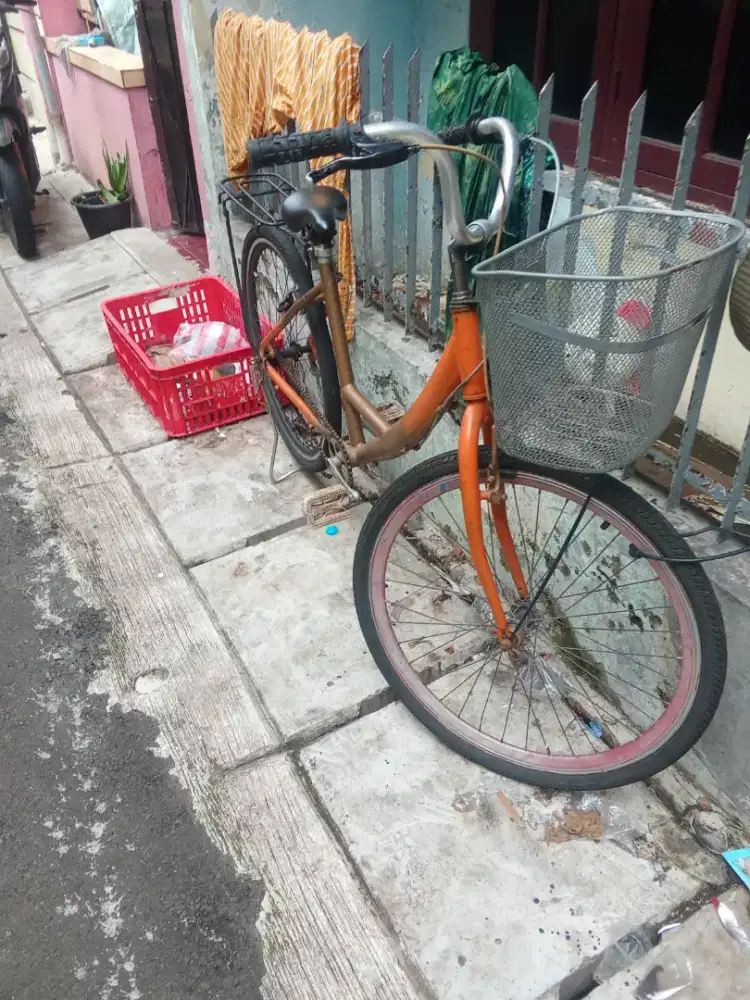 sepeda keranjang dewasa siap gowes
