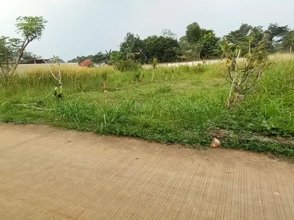 Tanah Kavling Dekat Tol baru Bojong Gede - SHM Siap Balik Nama