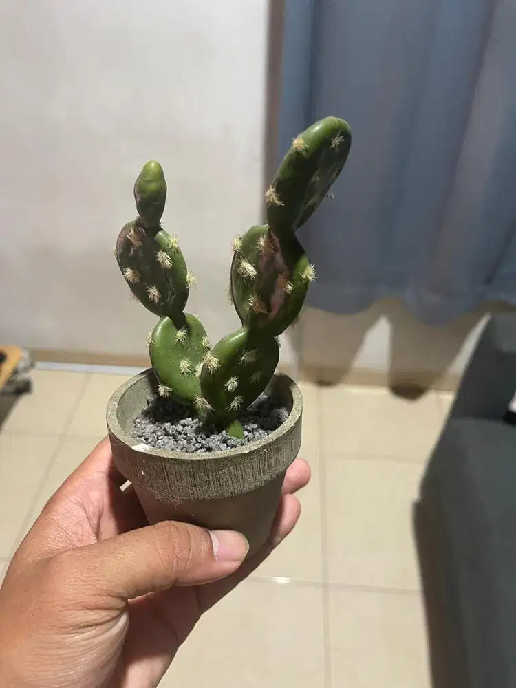 Pajangan kaktus kecil