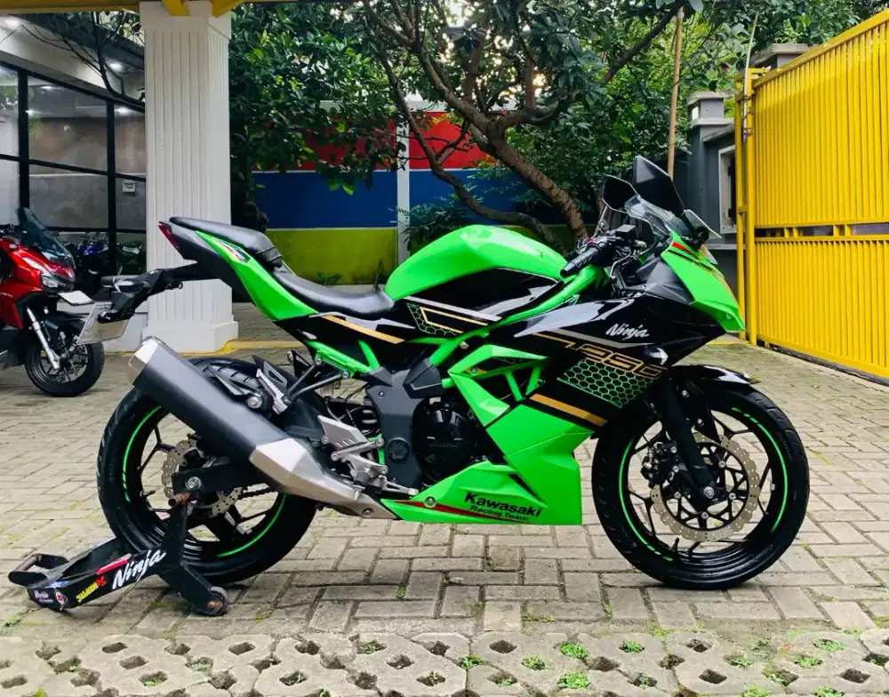 Kawasaki ninja 250 SL MONO