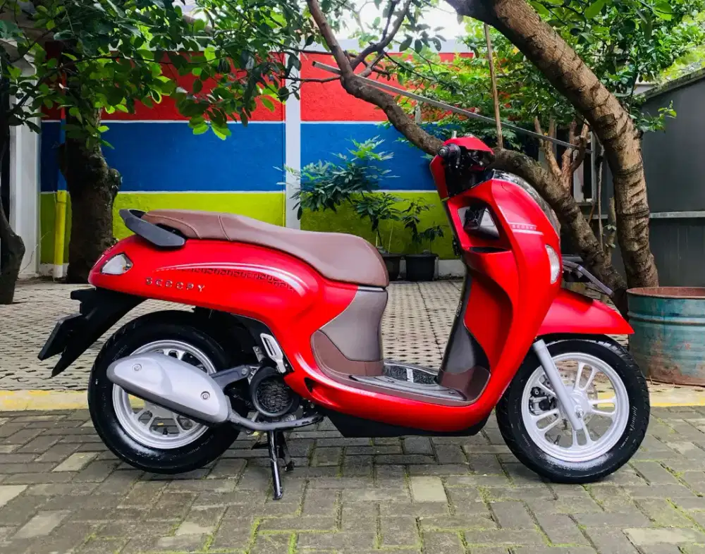 Honda scoopy stylish