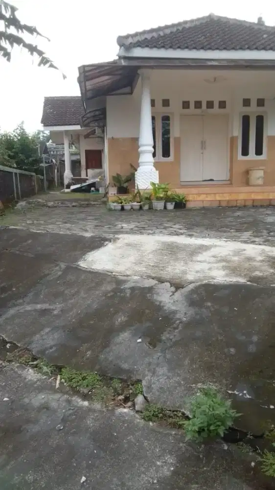 Dijual rumah halaman luas,lingkungan sejuk,pinggir jalan,air melimpah