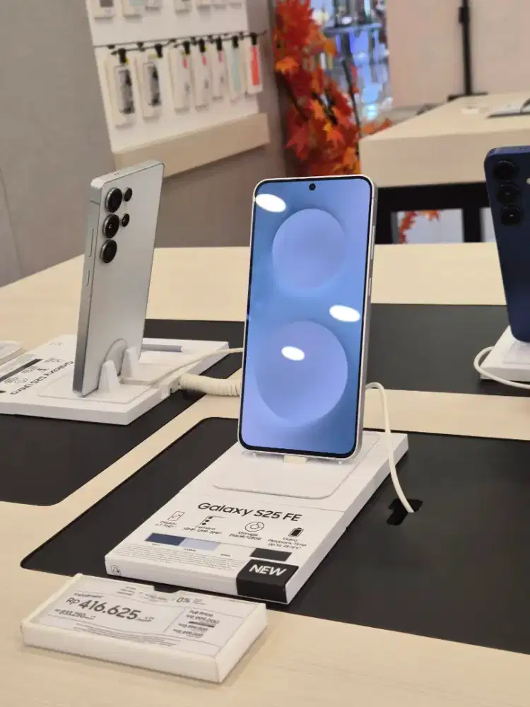 Samsung Galaxy S25FE