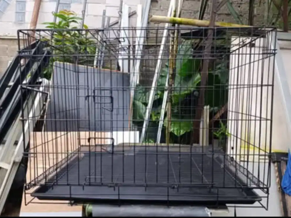 Jual kandang kucing, second, Lok Pamulang barat, Tangsel