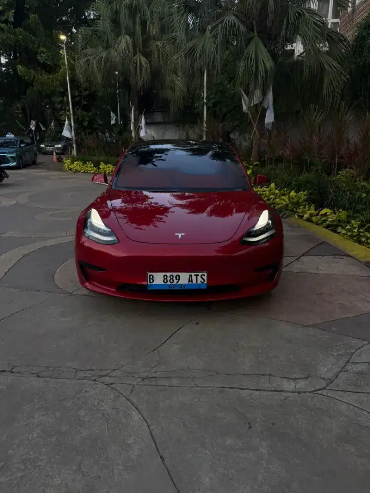 Tesla Model 3 2020