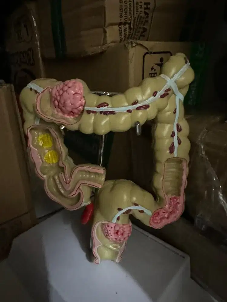 Alat peraga kedokteran