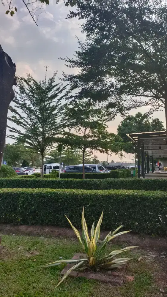 Saya sedang cari loker