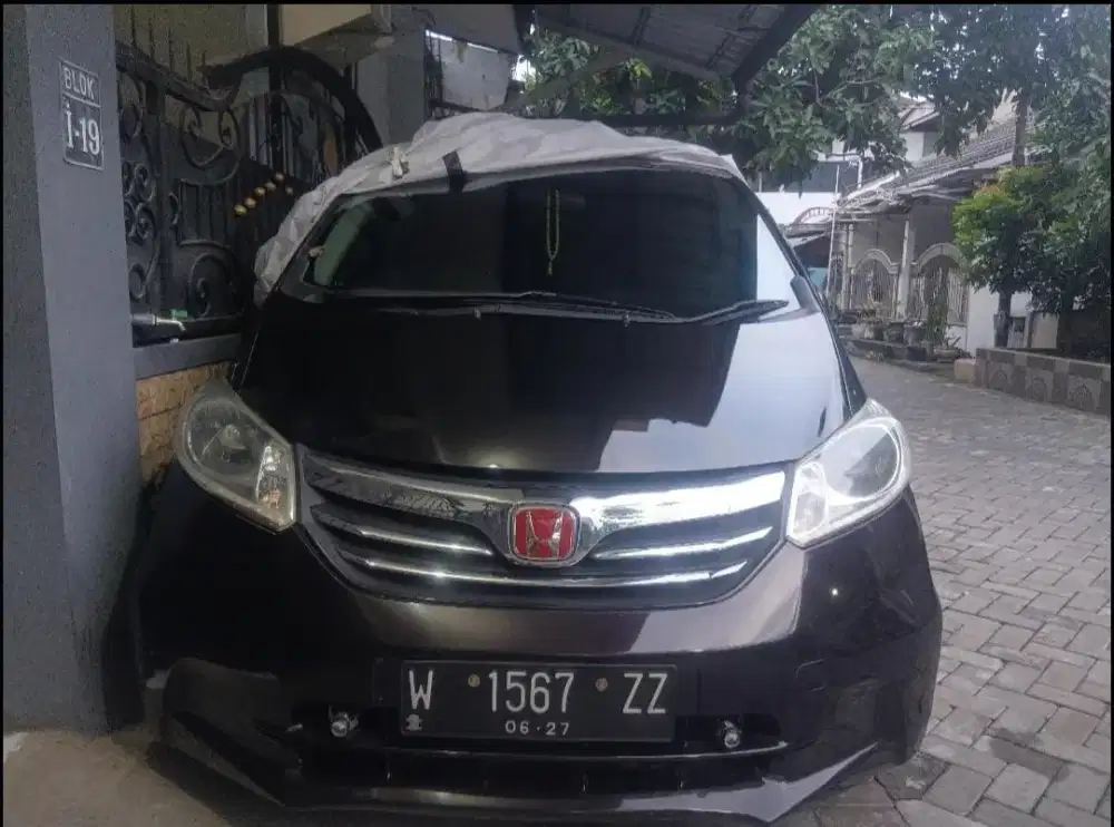 Freed 2012 Coklat Kilau