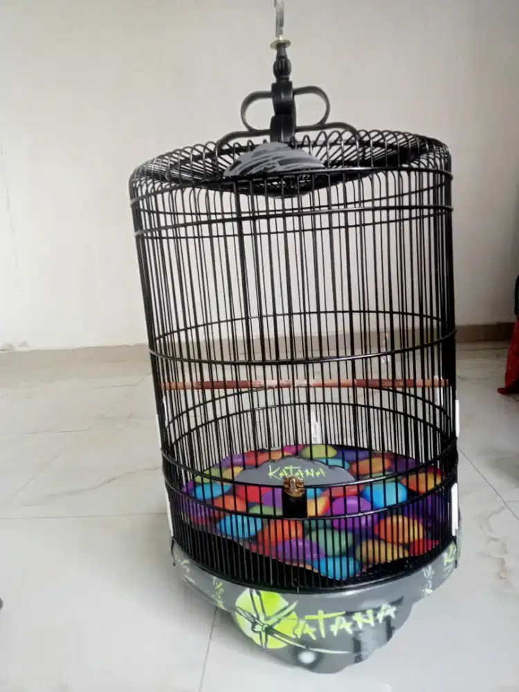 Kandang MB no 3 atau 4 cek bae