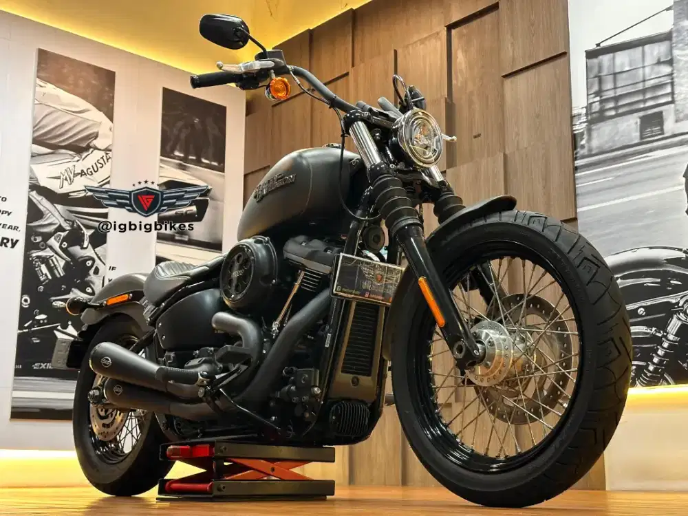 Harley Street Bob FXBB