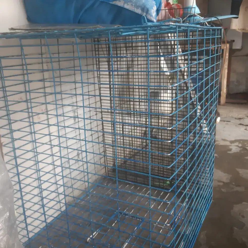 Kandang Kucing Atau Anjing