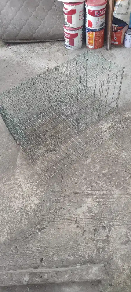 Kandang ayam petelor 70 cm