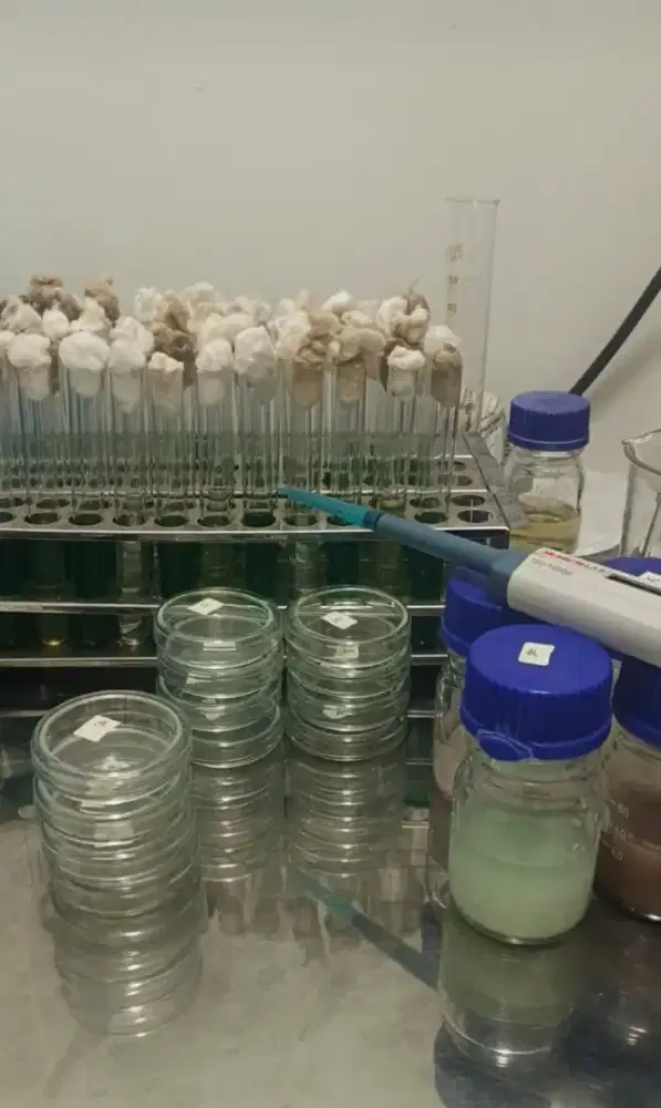 UJI LAB MAKANAN / MINUMAN ES LILIN