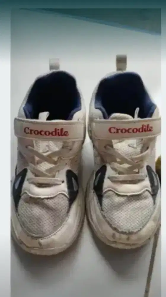 sepatu crocodile