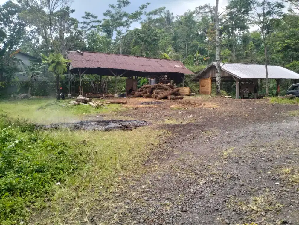 Dijual cepat tanah darat dan datar di Beluk, Kec. Belik Kab.Pemalang