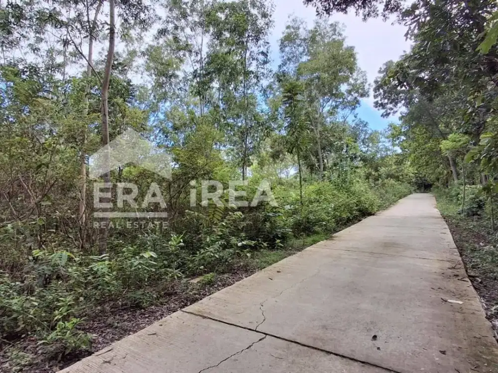 TANAH DIJUAL DI JOGJA DEKAT KOPI PUNCAK RINDU