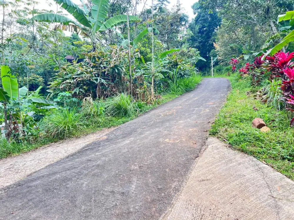 Tanah Istimewa 1 Hektar 500Juta Utara Candi Cetho Karanganyar