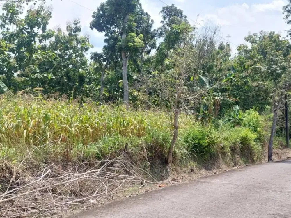 Jual Tanah Datar 8001m 90rb/m Siap Bangun Sragen