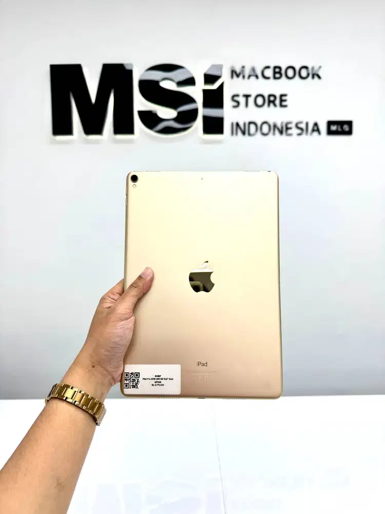 iPad Pro 2016 • 256GB • Gold