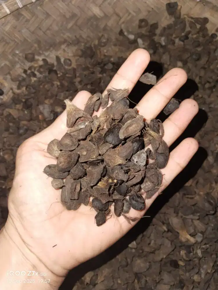 Bungkil sawit dan Cangkang sawit