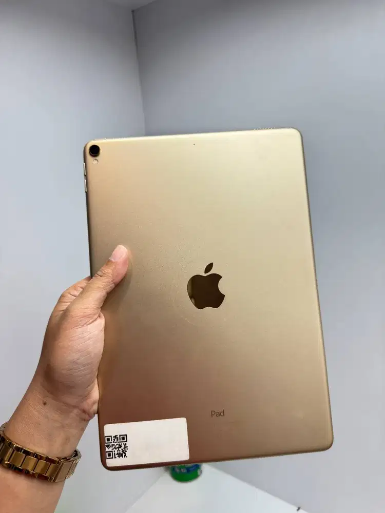 iPad Pro 2016 • 256GB • Gold