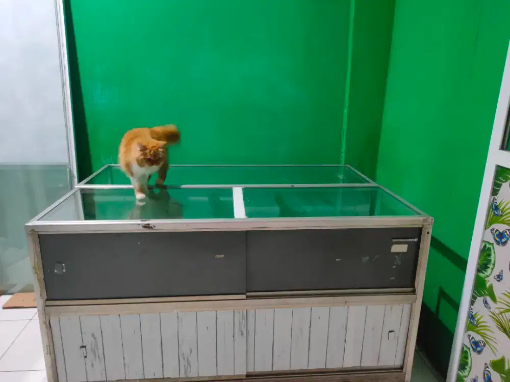 Etalase bekas masih bagus