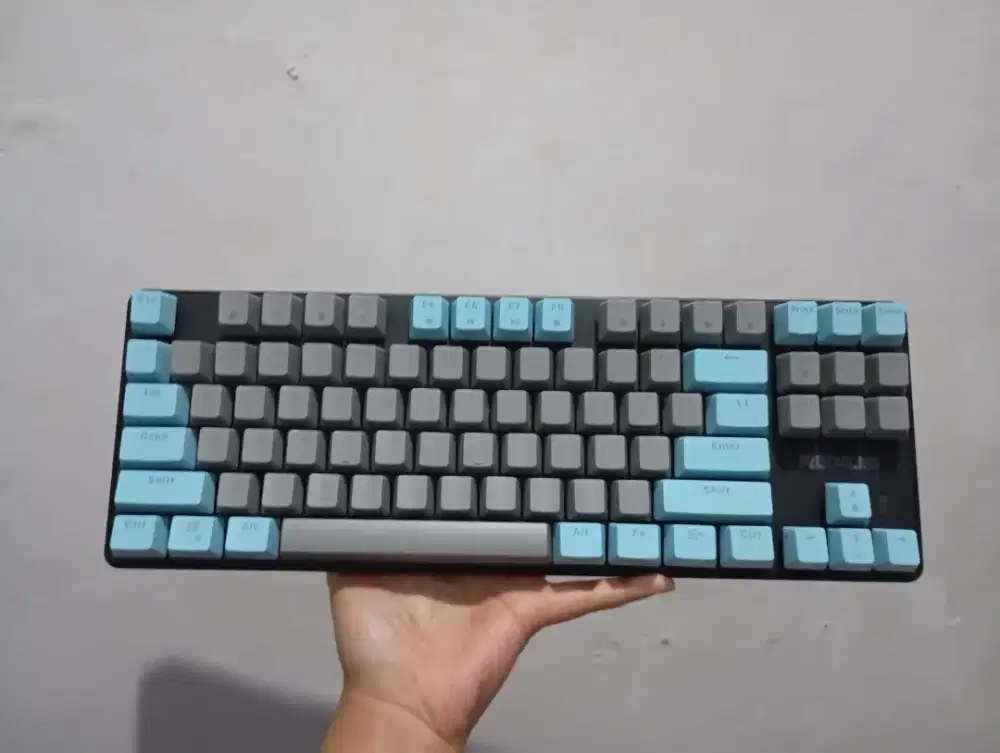 keyboard mechanical rexus Finale & fantech mk876