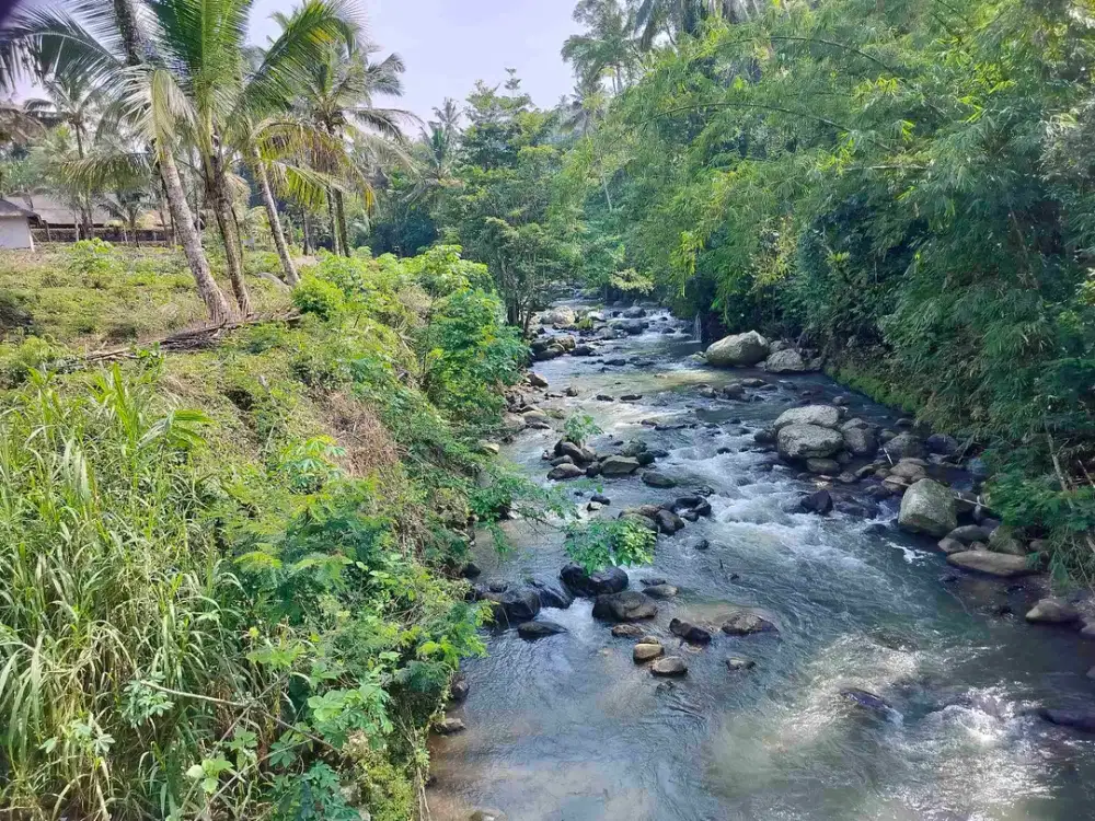 jual tanah murah di tabanan bali